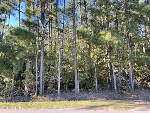 075 Moonlight Drive Drive, Hertford, NC 27944