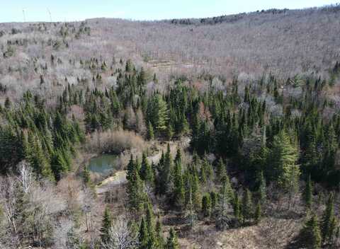 796 New Duck Pond Road, Sheffield, VT 05866