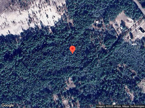 Woodpecker, CLAXTON, GA 30417