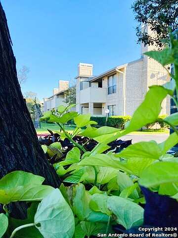 Braesview, SAN ANTONIO, TX 78213