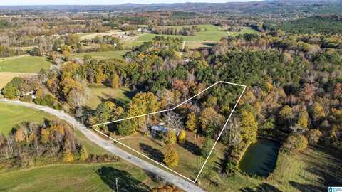 538 COUNTY ROAD 530, HANCEVILLE, AL 35077