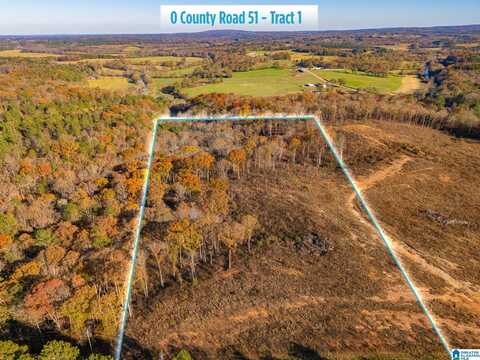 0 COUNTY ROAD 51, WOODLAND, AL 36280