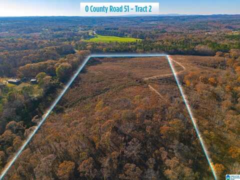 0 Tract 2 COUNTY ROAD 51, WOODLAND, AL 36280