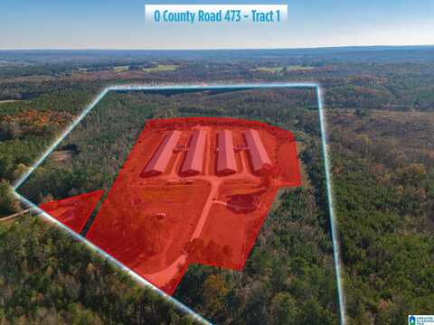 0 COUNTY ROAD 473, NEWELL, AL 36280