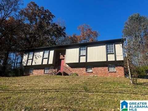 6628 OLD SPRINGVILLE ROAD, PINSON, AL 35126