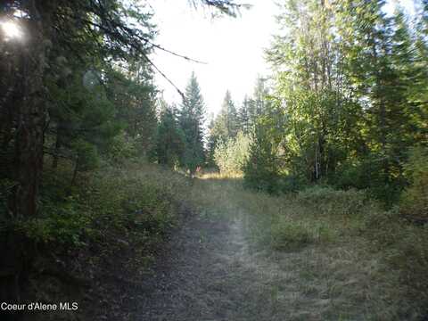 Mutch Creek Road (Parcel 3), Saint Maries, ID 83861