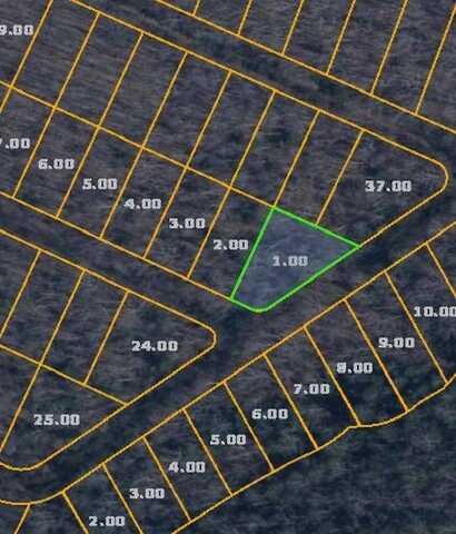 Lot 123 Tuskegee Tr, Crab Orchard, TN 37723