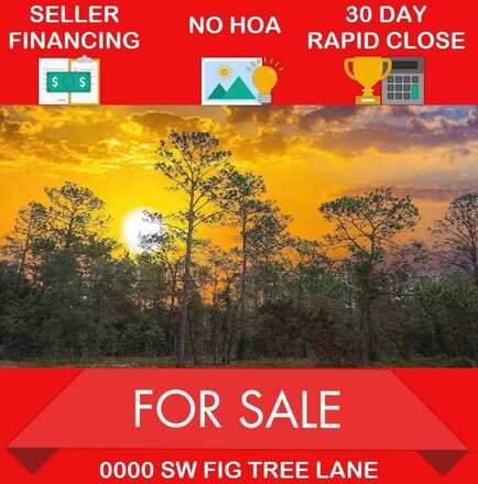 0000 SW Fig Tree Lane, Dunnellon, FL 34431