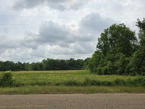 0 Garrett Rd, Ashford, AL 36312