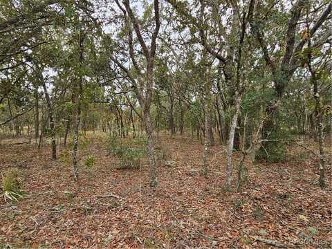 1598 W Manchester Drive, Citrus Springs, FL 34434