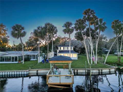 1043 LEMON BLUFF ROAD, OSTEEN, FL 32764