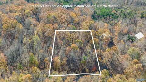 Lot 17 Citadel Rock Road, Fort Payne, AL 35967