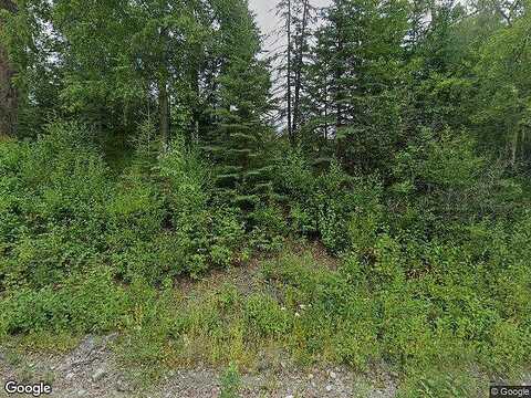 New Homesteader, WASILLA, AK 99623