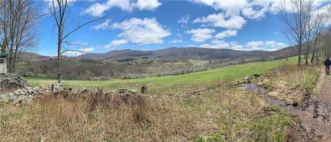 Babbling Brook Rd, Bovina Center, NY 13740