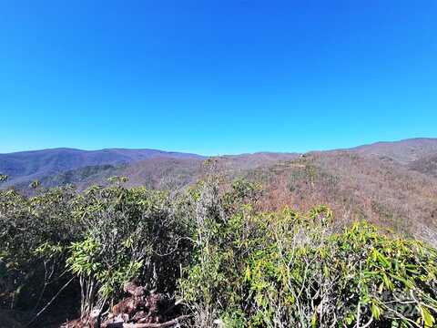 Bearwallow Ridge Trail, Maggie Valley, NC 28751