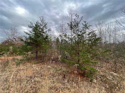 Lot 12 Pulco Lane, Ronda, NC 28670