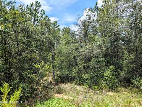 Blue Ridge Court, Keystone Heights, FL 32656