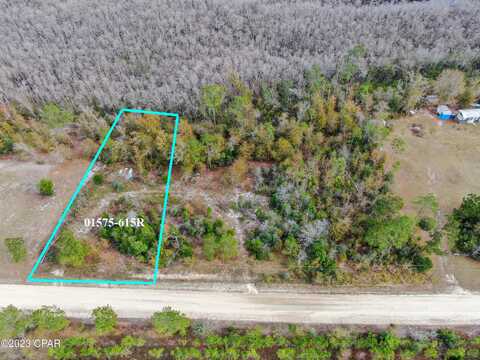 Dead Lakes Drive, Wewahitchka, FL 32465