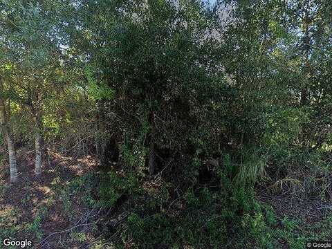 Sahara, PALM BAY, FL 32909