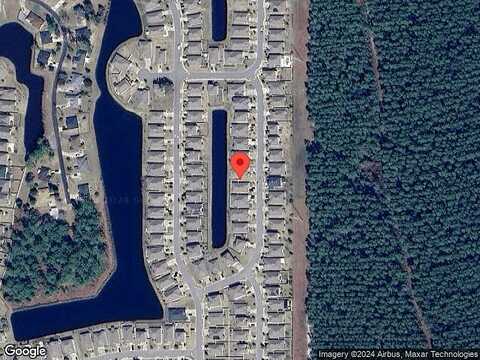 Whitebark, JACKSONVILLE, FL 32218