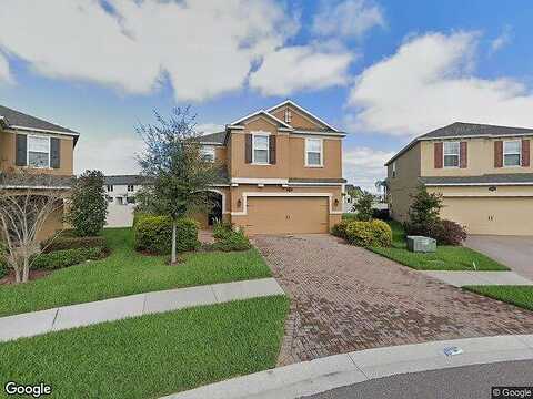 Oak Hammock, LUTZ, FL 33558