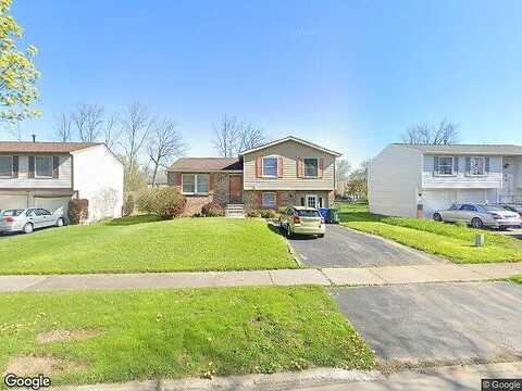 Planet, ROCHESTER, NY 14606