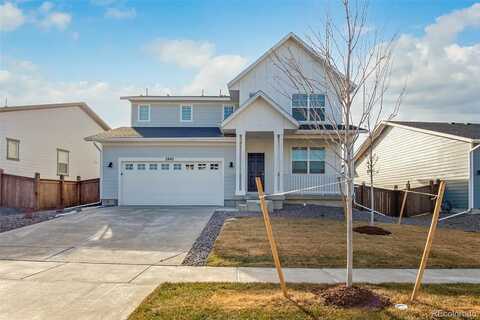 Shikra, BRIGHTON, CO 80601