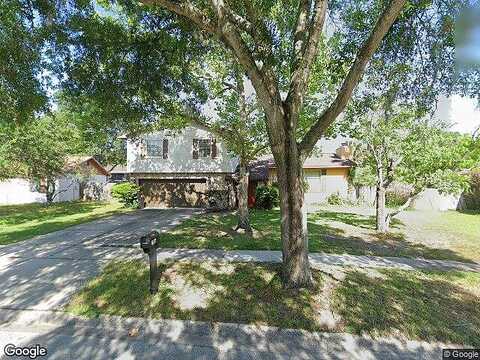 Chokecherry, WINTER SPRINGS, FL 32708