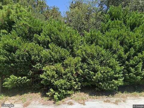 Native Tree, SANTA ROSA BEACH, FL 32459