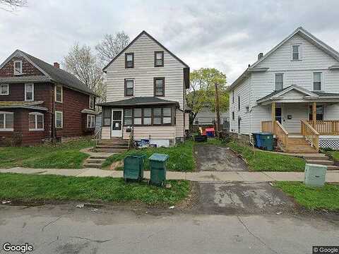 Marigold, ROCHESTER, NY 14615