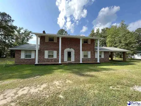 Reaves, DILLON, SC 29536