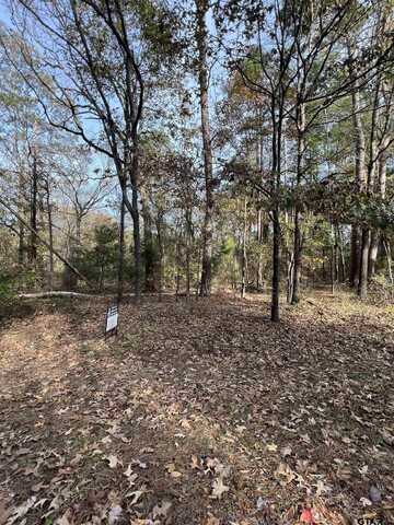 Lot 236 Canadian Drive, Scroggins, TX 75480