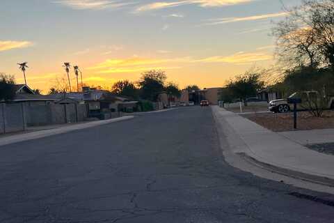 Saguaro, CASA GRANDE, AZ 85122