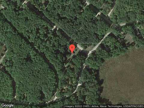 Pine Tree, STANWOOD, MI 49346