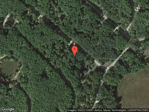 Pine Tree, STANWOOD, MI 49346