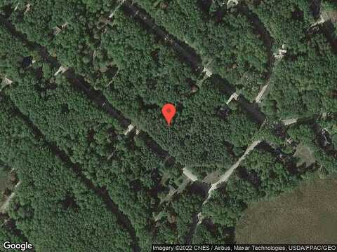 Pine Tree, STANWOOD, MI 49346