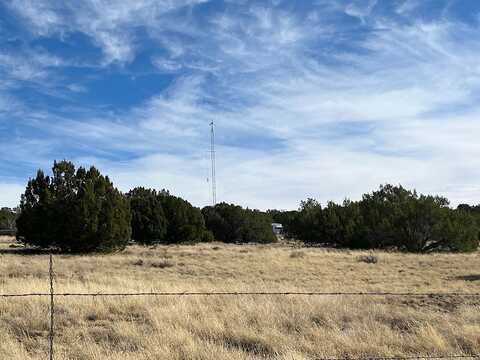 #68 County Road N8171, Concho, AZ 85924