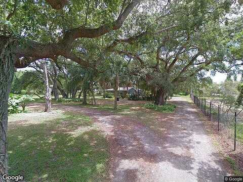 Spruce, SAFETY HARBOR, FL 34695