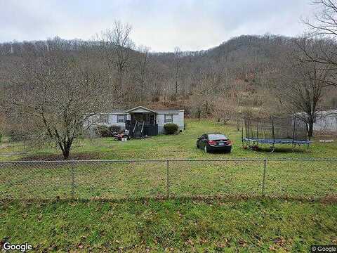 Puncheon, KITE, KY 41828