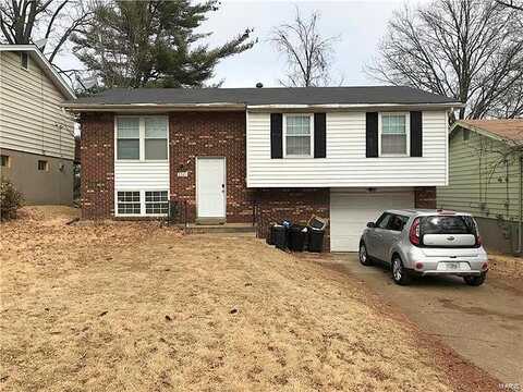High Ridge, SAINT LOUIS, MO 63136
