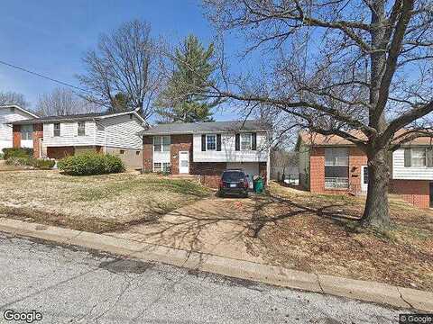 High Ridge, SAINT LOUIS, MO 63136