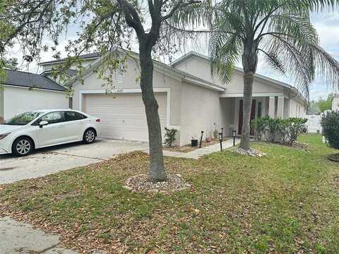 Tagus, WESLEY CHAPEL, FL 33545