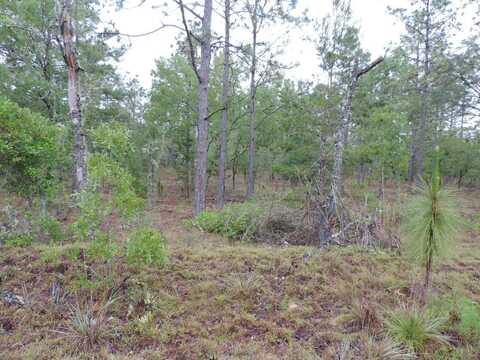 Tbd PONY RIDGE, DUNNELLON, FL 34431