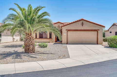 Ibarra, SURPRISE, AZ 85387