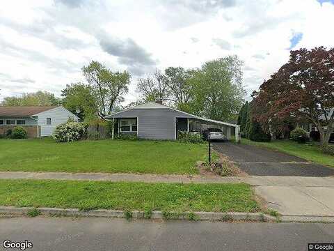 Bald Cypress, LEVITTOWN, PA 19054