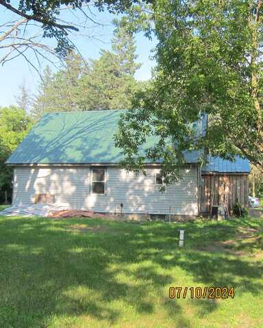 Dove, PILLAGER, MN 56473