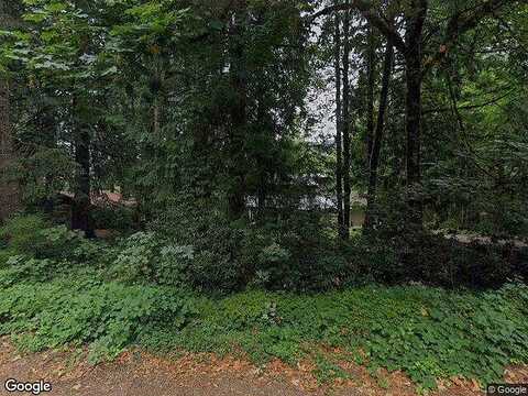 Vine Maple, RHODODENDRON, OR 97049