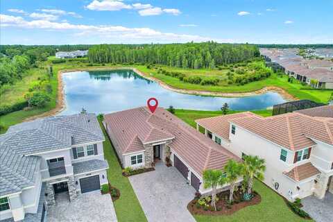 Logan Elm, WESLEY CHAPEL, FL 33543