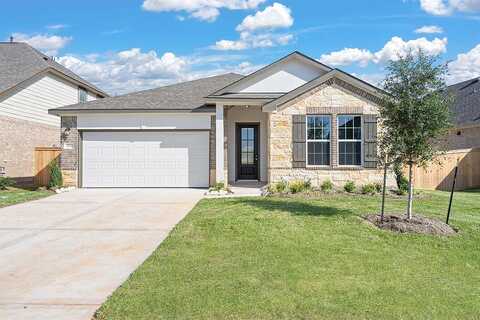 Golden Dust, KATY, TX 77493