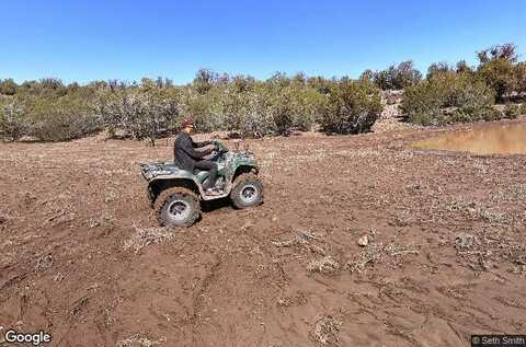 W Bad Dog Road, Seligman, AZ 86337